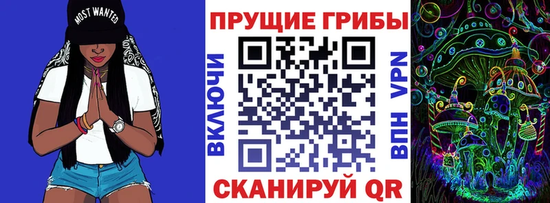 Псилоцибиновые грибы мухоморы  kraken вход  Велиж 